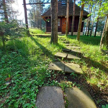 Vajat Kovacevic Villa Divcibare Exterior photo