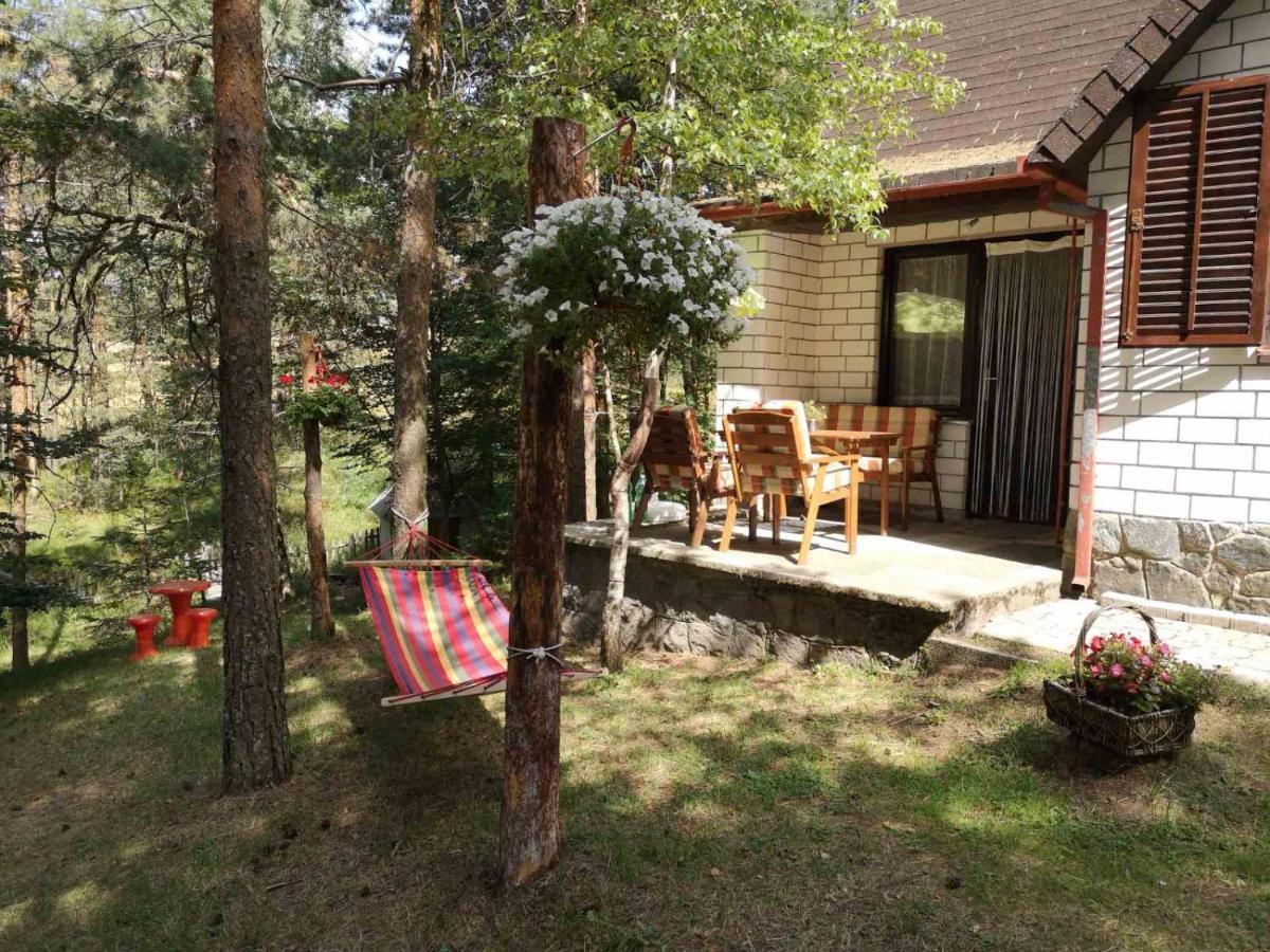 Chalet Vajat Kovacevic *